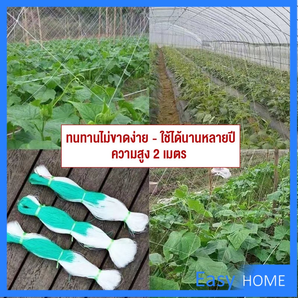 ตาข่ายปลูกพืชผัก-โครงไม้เลื้อย-ค้างปลูกผัก-อวนปลูกผัก-plant-support