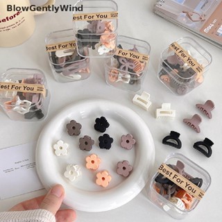 Blowgentlywind กิ๊บติดผมพลาสติก เนื้อแมตต์ ขนาดเล็ก เครื่องประดับแฟชั่น 10 ชิ้น