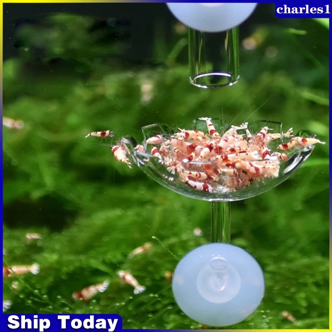 charles-หลอดแก้วใส-แบบดูดสุญญากาศ-สําหรับให้อาหารกุ้ง-ตู้ปลา