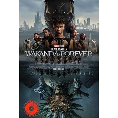 dvd-ชนโรง-black-panther-wakanda-forever-2022-แบล็ค-แพนเธอร์-วาคานด้าจงเจริญ-เสียง-ไทย-โรง-dvd