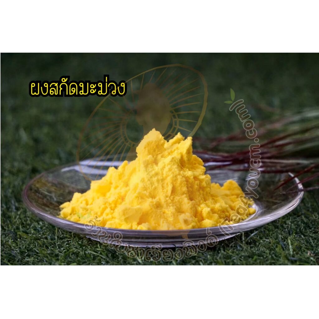 มะม่วงผง-ผงมะม่วงสกัดเข้มข้น-ไม่มีน้ำตาล-ขนาดบรรจุ-50-กรัม-premium-natural-mango-powder-100-เกรดพรีเมี่ยม-ผ่านกระบวน