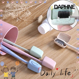 Daphne ฝาครอบแปรงสีฟัน แบบพกพา สุ่มสี 4 8 ชิ้น