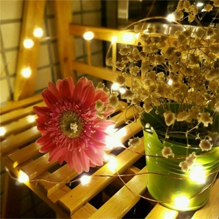 Create an Enchanting Atmosphere with USB Powered LED Copper Wire Lights