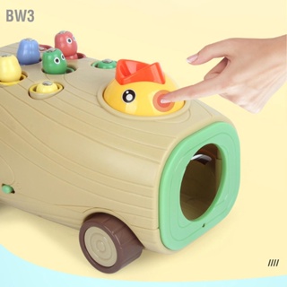  BW3 นกให้อาหารของเล่นเด็กวัยหัดเดินนกหัวขวานตลกจับหนอนเกมของเล่นเพื่อการศึกษาของขวัญวันเกิด