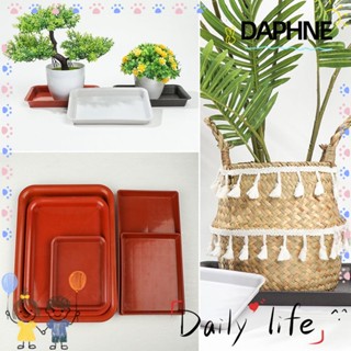 ♫Daphne♫ ถาดพลาสติก ทรงสี่เหลี่ยมผืนผ้า ที่ทนทาน หลากสี สําหรับวางกระถางต้นไม้ ในร่ม และกลางแจ้ง จํานวน 1 ชิ้น
