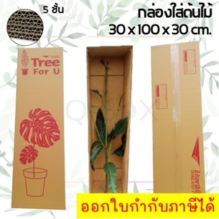 กล่องต้นไม้ เบอร์ 1 กล่องไปรษณีย์ขนาดยาว ( 5 ใบ)