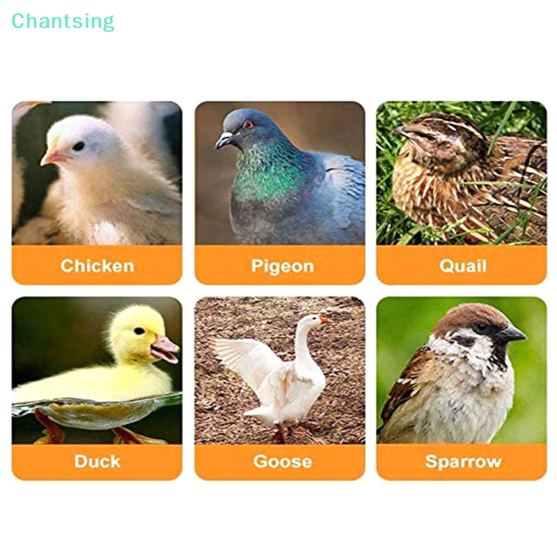 lt-chantsing-gt-แก้วน้ําดื่มอัตโนมัติ-พลาสติก-สําหรับไก่-เป็ด-ห่าน-นกกระทา-ลดราคา