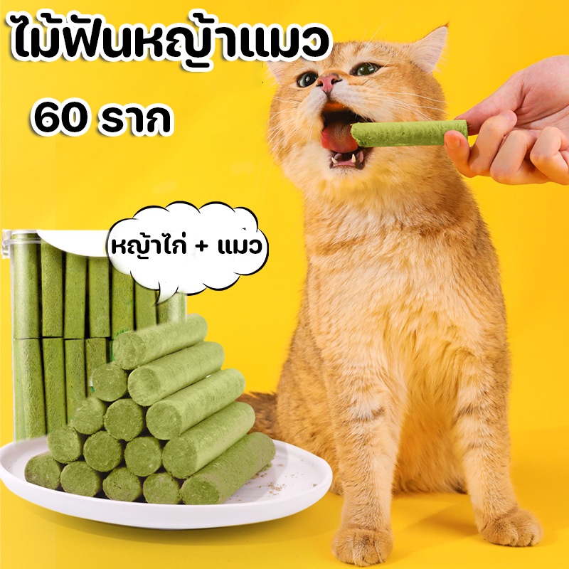 ไม้ฟันหญ้าแมว-ขนมหญ้าแมว-ช่วยขัดฟัน-60-ราก-เพื่อกำจัดก้อนขน-ไม้ขัดฟัน