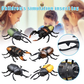 รีโมทคอนโทรลแมลง แมลง RC Beetle