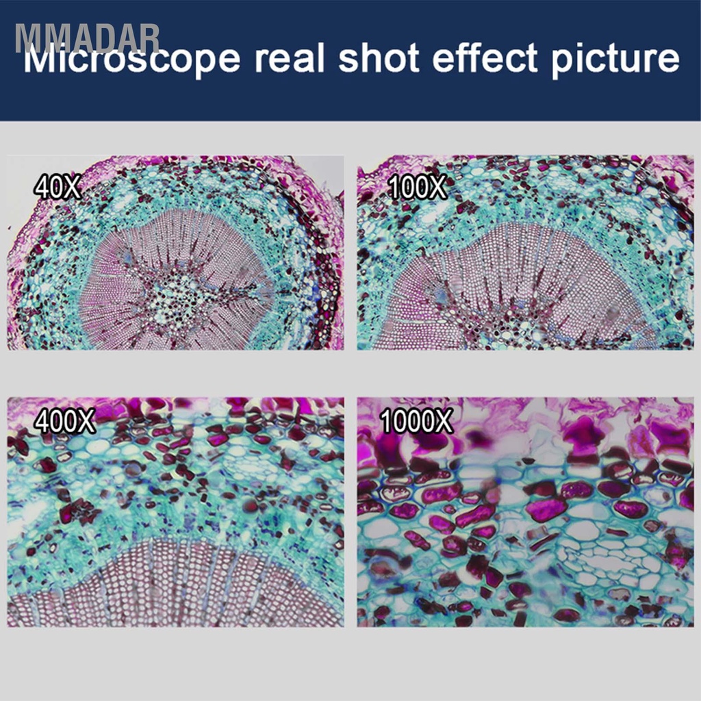 mmadar-กล้องจุลทรรศน์สองตา-40x-ถึง-2500x-สองชั้นเชิงกลระยะห้องปฏิบัติการกล้องส่องทางไกลแบบผสม-ac85-240v