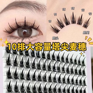 Wheat ear Little Devil eyelash Book 160 clusters of super-large capacity 10 rows of spire false eyelashes tail fairy natural