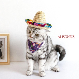 Alisondz หมวกฟางถัก เม็กซิกัน ซัมเบรโร่ น่ารัก สําหรับสัตว์เลี้ยง สุนัข แมว