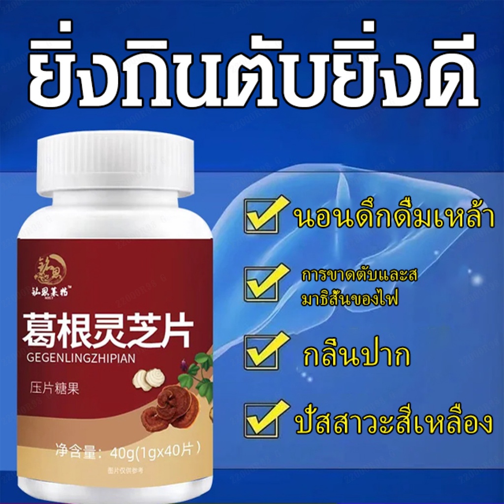 ปกป้องตับและลดไขมัน-เม็ดเห็ดหลินจือรากคุดสุ-แท็บเล็ตป้องกันตับ