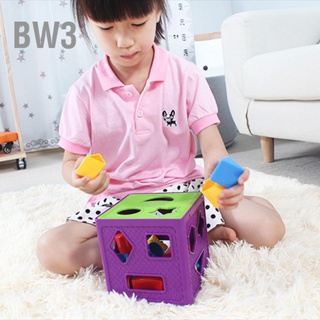  BW3 Shape Sorter Toy ABS สีสันปลอดภัยความสามารถในการรับรู้ของกล้ามเนื้อการออกกำลังกายของเล่นรูปทรงเรขาคณิตสำหรับเด็ก