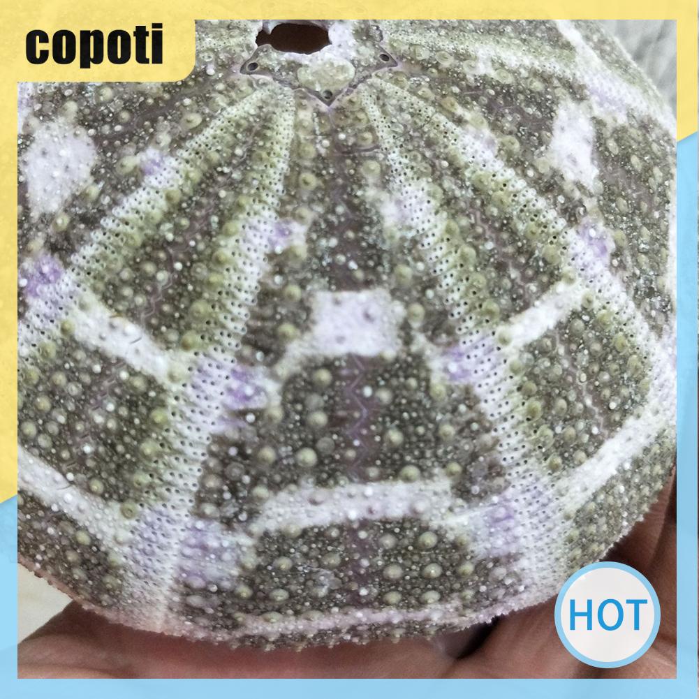 copoti-ขาตั้งกระถางต้นไม้-บอนไซ-ขนาดเล็ก-สําหรับแขวนตกแต่งบ้าน-5-ชิ้น