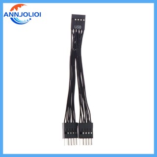 Ann สายเคเบิลเมนบอร์ดแยก USB 9-pin 1 เป็น 2 USB 9Pin 10 ซม.