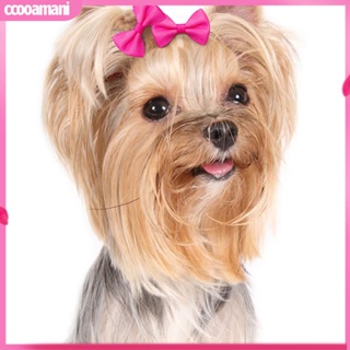 Ccooamani|  ยางมัดผม ประดับโบว์น่ารัก สีสดใส สําหรับสัตว์เลี้ยง สุนัข จํานวน 10 ชิ้น