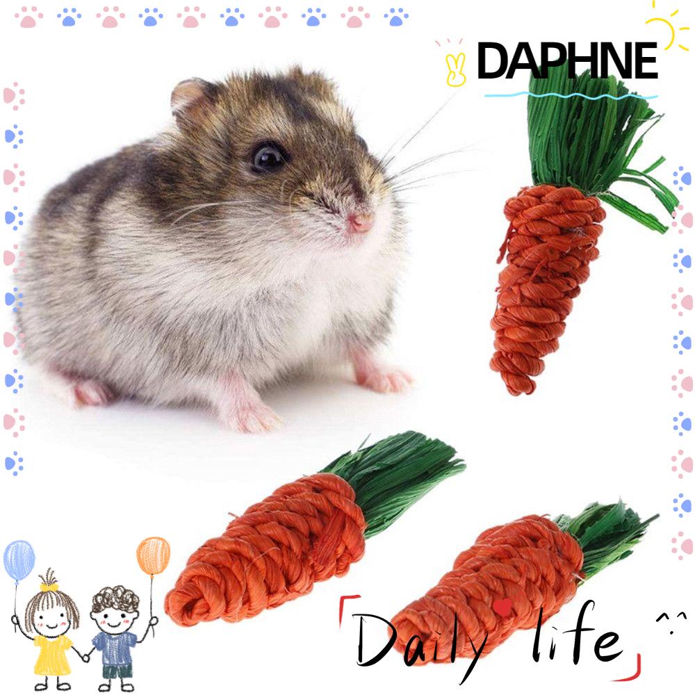 daphne-ของเล่นทําความสะอาดฟันหนูแฮมสเตอร์กระต่ายแครอท-3-ชิ้น