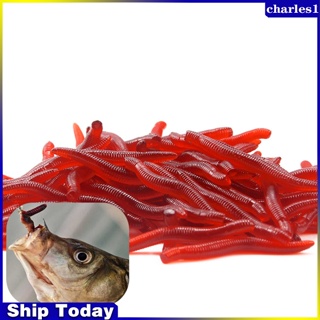 Charles เหยื่อตกปลาซิลิโคน แบบนิ่ม รูปหนอนแดง 0.24 กรัม 3.5 ซม. 200 ชิ้น