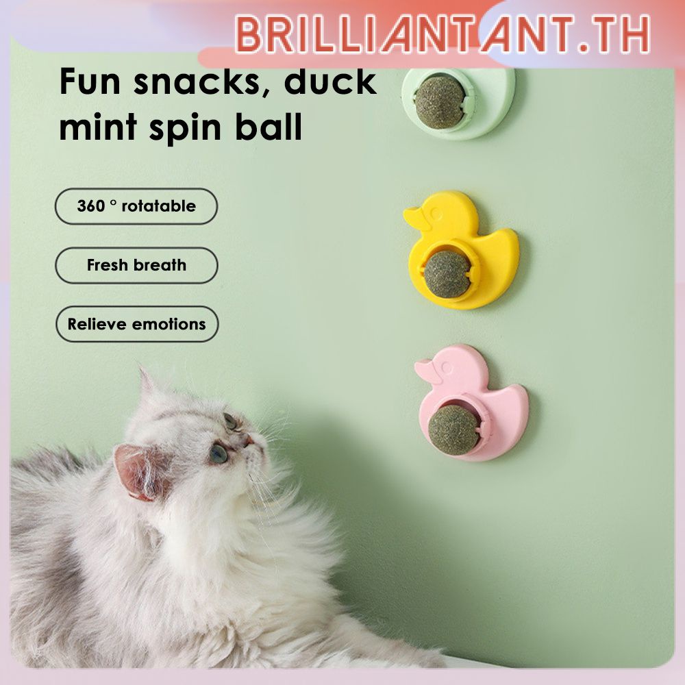 ของเล่นแมวเล่นกับแมว-spin-mint-ball-เล่นกับแมว-ขนมขบเคี้ยว-เลีย-เล่นกับแมว-ติด-ของเล่นแมว-bri