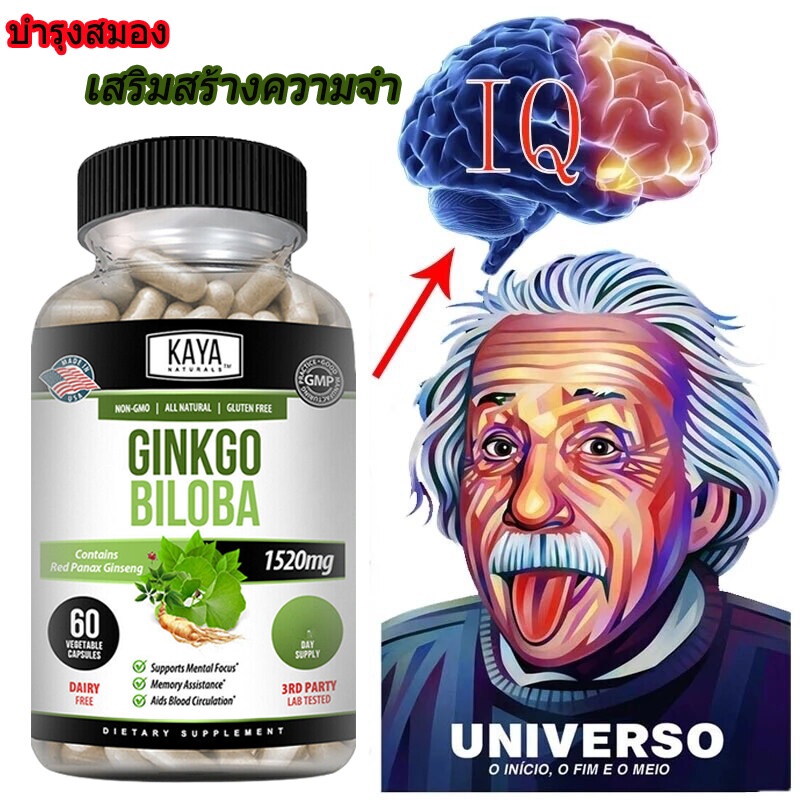 บำรุงสมอง-สารสกัดจากใบแป๊ะก๊วย-ginkgo-biloba-เสริมสร้าง-ความจำสมอง-บำรุงสมาธิ