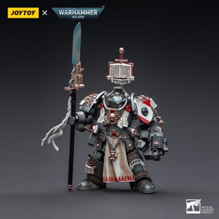 ตุ๊กตาโมเดลฟิกเกอร์ Joytoy Dark Source Warhammer 40K สีเทา ขยับได้