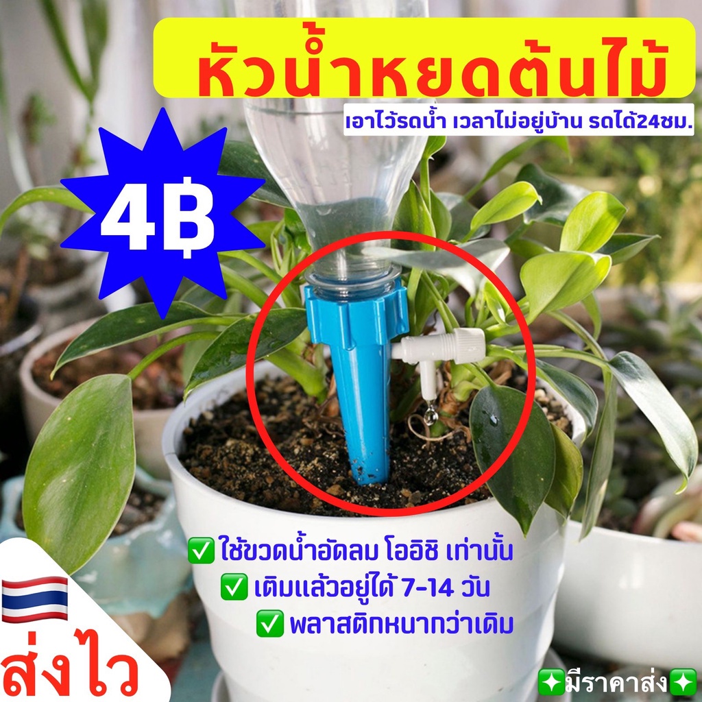 หัวน้ำหยดต้นไม้-diy-ที่รดน้ำ-หัวรดน้ำ-หัวหยดน้ำ-รดน้ำต้นไม้-ขวดน้ำเปล่า-ขวดน้ำอัดลม-ขวดโออิชิ-อยู่ได้-15วัน