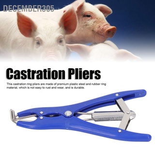 December305 Castration Plier 100 pcs สีแดง Castrator แหวนยางหาง Docking Clamp Ring Applicator Kit