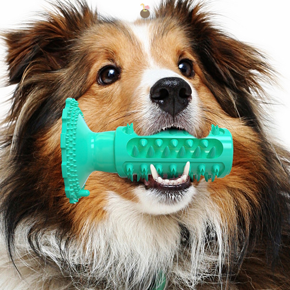 ของเล่นฝึกฟันสุนัข-ใช้สะดวก-ทําความสะอาดง่าย