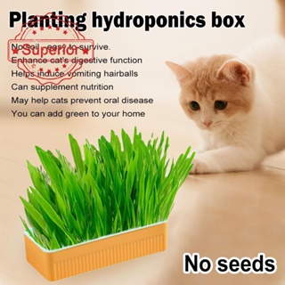 กล่องหญ้าไฮโดรโปนิก ระบายอากาศ ไม่มีกล่อง สําหรับปลูกต้นไม้ แมว M2N8