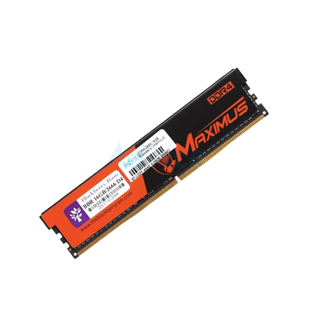 ram-ddr4-2666-16gb-blackberry-maximus