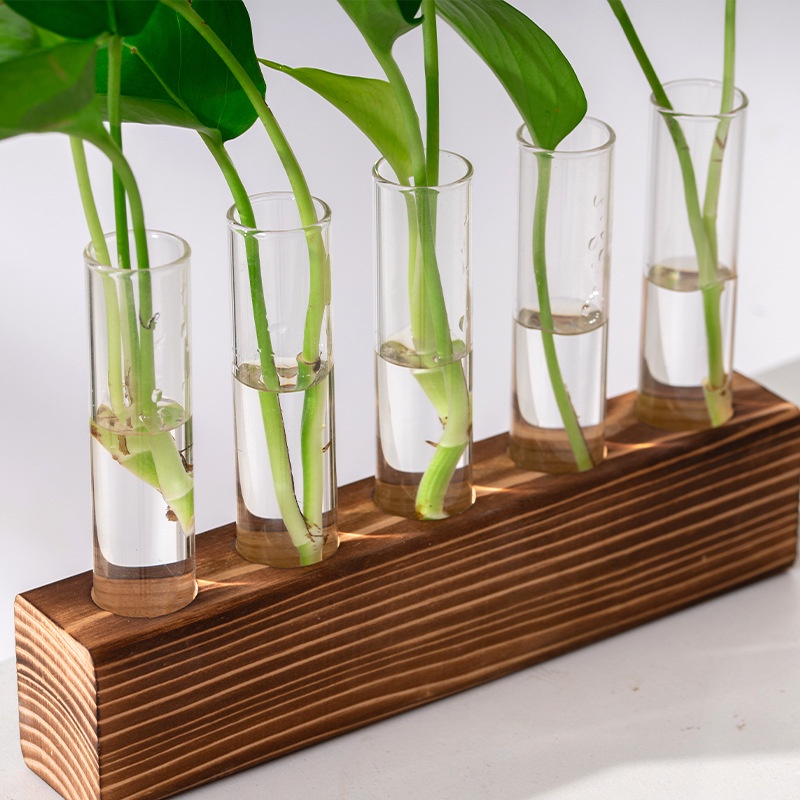 spot-second-hair-wooden-rack-hydroponic-transparent-glass-test-tube-bottle-creative-indoor-desktop-hydroponic-green-plant-container-simple-test-tube-insert-vase-8cc