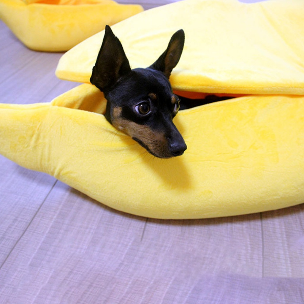 reykjaal-my-ที่นอนสัตว์เลี้ยง-แบบนิ่ม-สบาย-รูปกล้วย-สําหรับแมว-และสุนัข