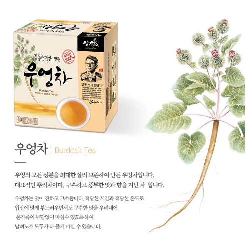 ชา-burdock-tea-ชารากไม้-ช่วยชะลอวัย-บำรุงร่างกาย