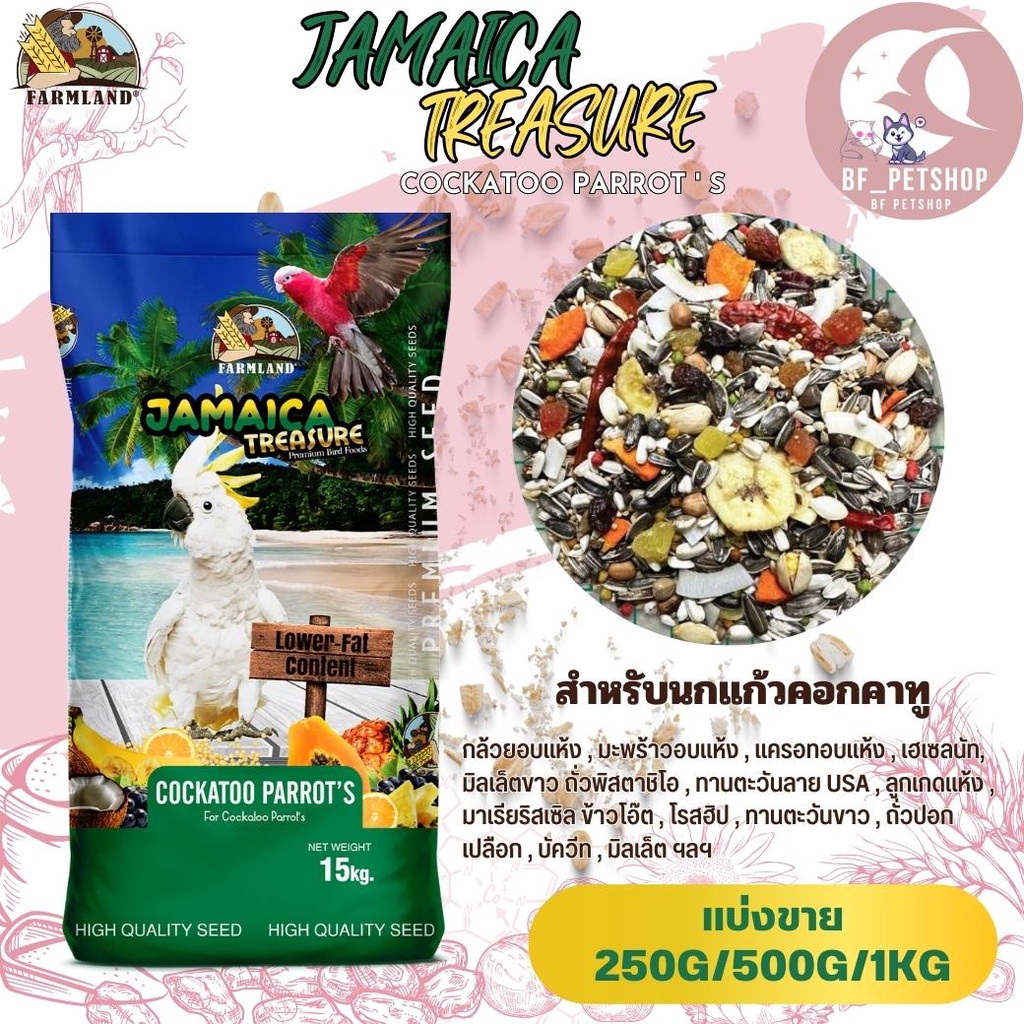 jamaica-treasure-cockatoo-parrots-ฟาร์มแลนด์-แบ่งขาย-250g-500g-1kg