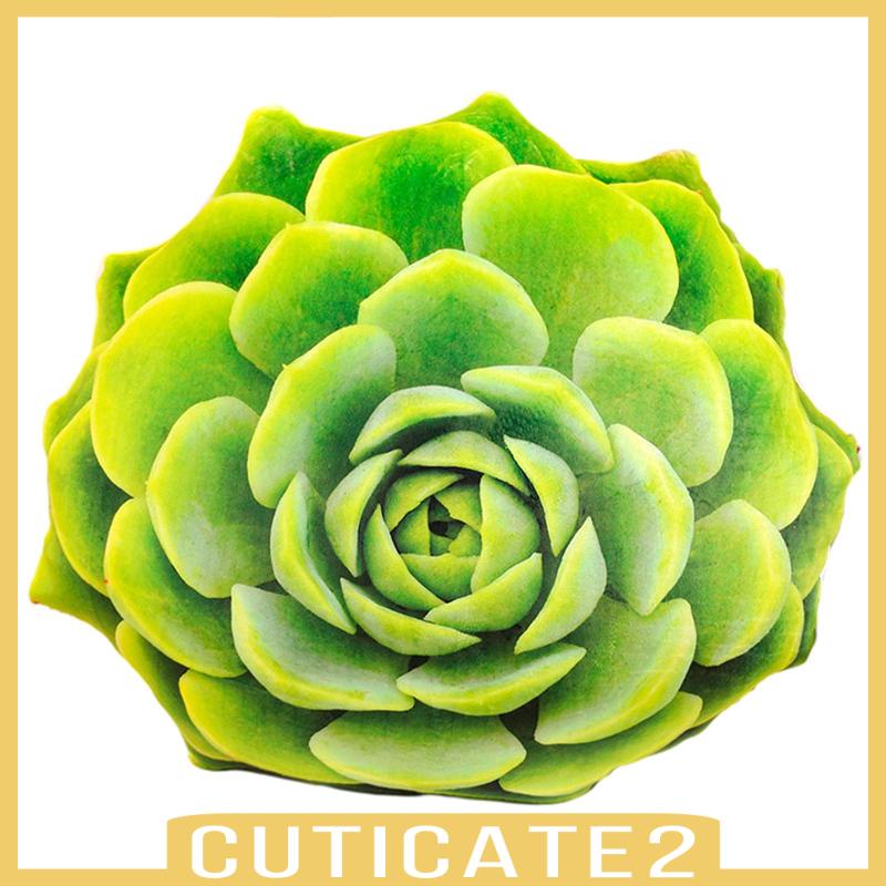 cuticate2-หมอนโซฟาจําลอง-20-นิ้ว-สําหรับตกแต่งบ้าน-ออฟฟิศ