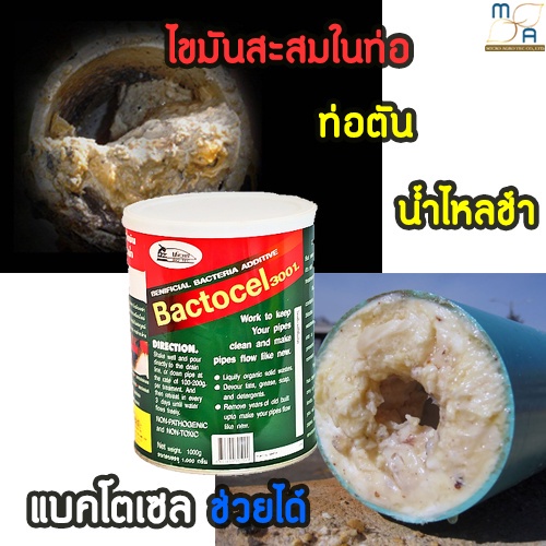 ผงกำจัดคราบไขมัน-ย่อยสลายไขมันที่ย่อยยาก-ขจัดไขมันในท่อระบายน้ำ-ซิงค์ล้างจาน-แบคโตเซล-3001-1000g-คราบไขมัน-ท่อระบายน้ำ