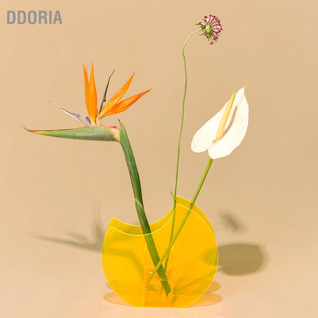 ddoria-แจกันดอกไม้อะคริลิกการออกแบบร่วมสมัยที่เรียบง่ายแจกันพืชแบบพกพาสำหรับตกแต่งบ้านสำนักงาน