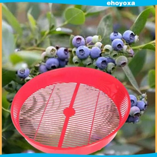 [Ehoyoxa] ตะกร้ากรองเบอรี่ อเนกประสงค์ น้ําหนักเบา สําหรับ Huckleberries Blackberries Currants Strawberries