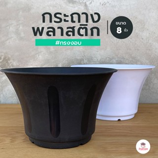 กระถางพลาสติก 8 นิ้ว #ทรงงอบ กระถางแคคตัส กระถางกระบองเพชร กระถางต้นไม้