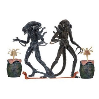 [พร้อมส่ง] Neca Alien 2 Alien 1986 Edition ชุดโมเดลฟิกเกอร์ไข่เอเลี่ยน ขยับได้ DMLW