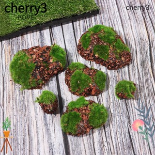 Cherry3 หินมอสเทียม สีเขียว สําหรับตกแต่งสวน DIY 6 ชิ้น ต่อแพ็ค