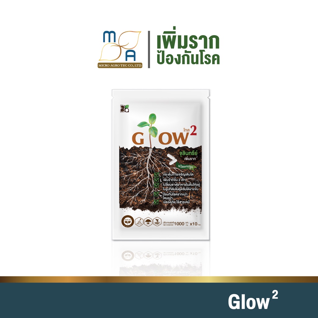 glow2-โกล2-แคปซูล-จุลินทรีย์เพิ่มราก-กระตุ้นราก-แตกราก-ปุ๋ยบำรุงต้นไม้-ช่วยดูดซึมอาหารในดินได้ดี-ช่วยบำรุงต้น-พืชโตไว