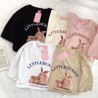 S008 เสื้อยืด oversize ผ้าคอตตอน สไตล์มินิมอล สกรีน กระต่าย2ตัว LITTLEBUNNY 🐰