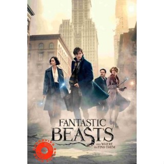 DVD Fantastic Beasts and Where to Find Them สัตว์มหัศจรรย์และถิ่นที่อยู่ (เสียง ไทย/อังกฤษ ซับ ไทย/อังกฤษ) DVD