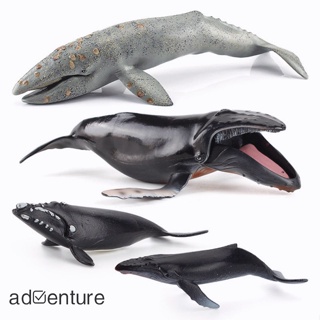 Adven โมเดลฟิกเกอร์ รูปปลาวาฬ สัตว์ทะเลจําลอง สมจริง ของขวัญสําหรับเด็ก