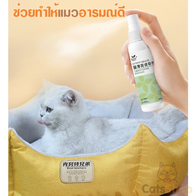 catmint-catnip-แบบน้ำ-ฉีด-ทำให้แมวอารมณ์ดี-120ml