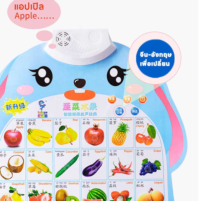 พร้อมส่ง-โปสเตอร์พูดได้-ของเล่นกดปุ่มมีเสียงพูด-เรียนคำศัพ-จีน-อังกฤษ-โปสเตอร์คำศัพท์-ของเล่นเด็ก-โปสเตอร์สำหรับเด็ก