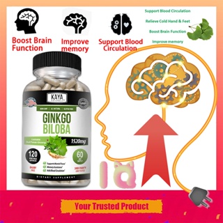 บำรุงสมอง สารสกัดจากใบแป๊ะก๊วย Ginkgo Biloba - เสริมสร้าง ความจำสมอง บำรุงสมาธิ