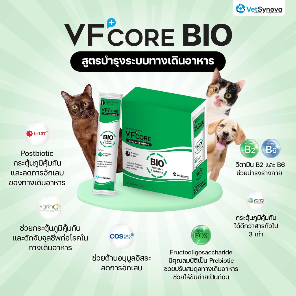 vf-core-วิตามินเลีย-bio-12g-1ซอง